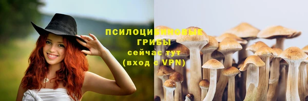 кокаин премиум Алексеевка