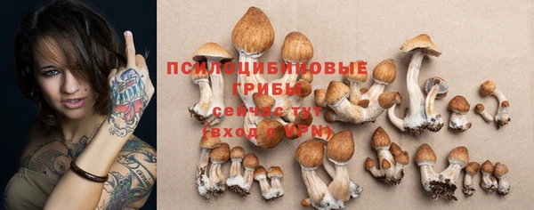 не бодяженный Алзамай