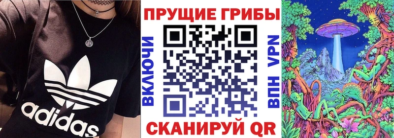 ОМГ ОМГ маркетплейс  Заозёрный  Галлюциногенные грибы Psilocybe 